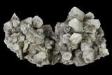 Hexagonal, Columnar Calcite Crystal Cluster - Fluorescent! #115491-1